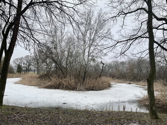 2721, Pilis Gerje-liget