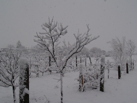 2013. január 7. Intenzív havazás