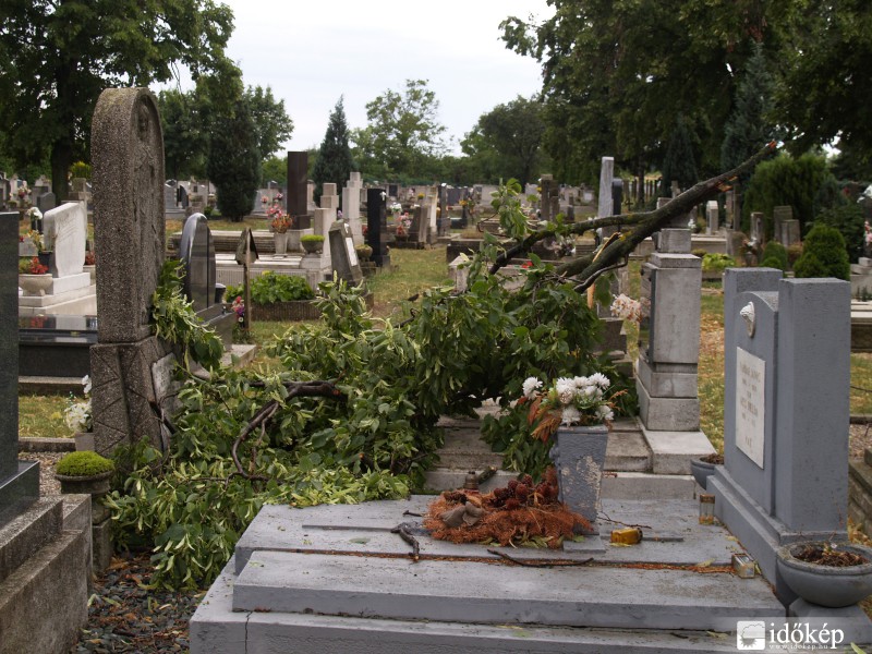 Viharkár a temetőben