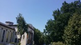 Dunaújváros