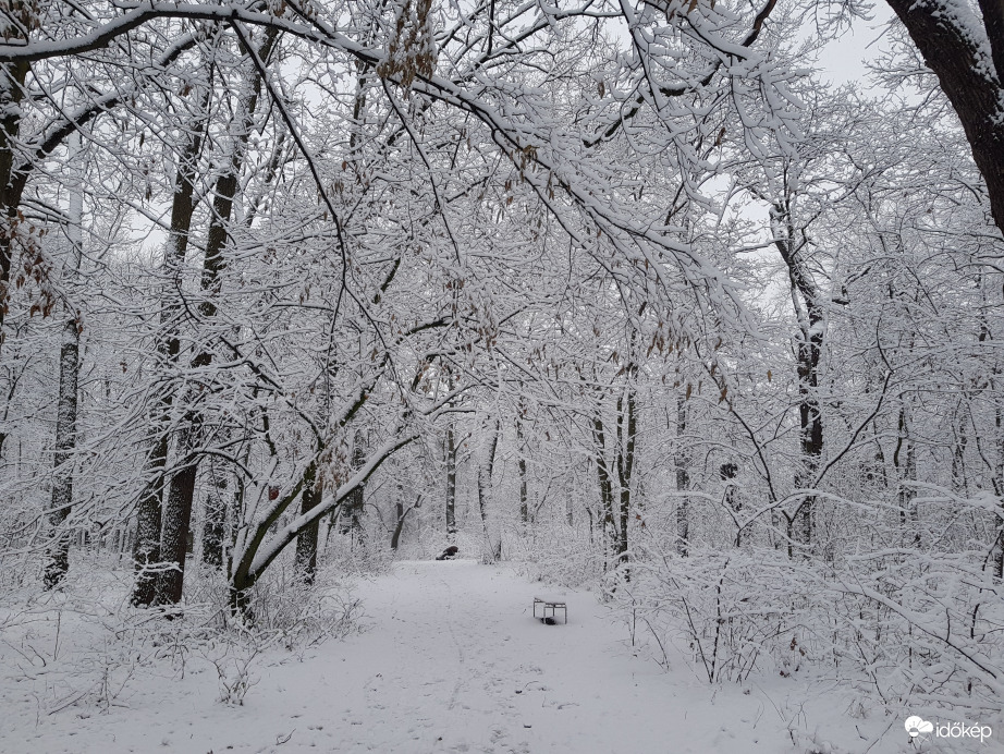 Debreceni tél:)