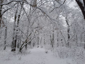 Debreceni tél:)