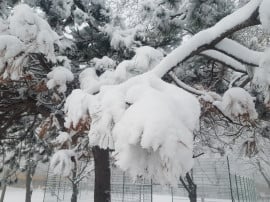 Debreceni tél