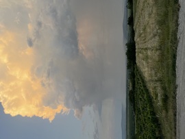 tcu fotója