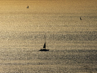ARANYLÓ BALATON