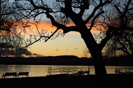 TERMÉSZET FESTMÉNYE