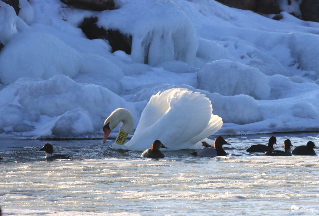 TÉLI JEGES PILLANAT