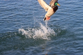 EGY PILLANAT ITT MARADT