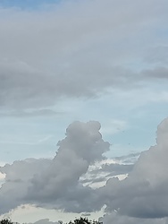 tekeba fotója