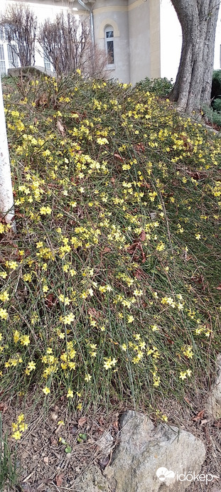 Budapest XII.ker - Normafa