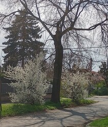 Budapest XIV. ker