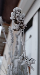 tereknikolett fotója