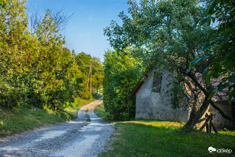 Zalai pince