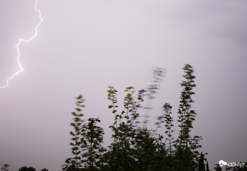 Sajna nem sikerült teljes egészében elkapnom