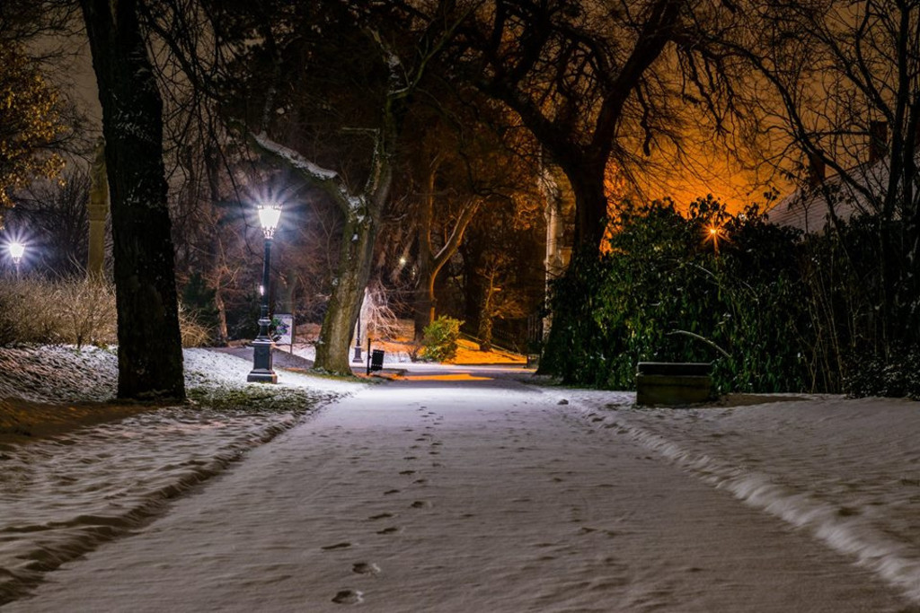 Tegnap reggeli sétám a parkban