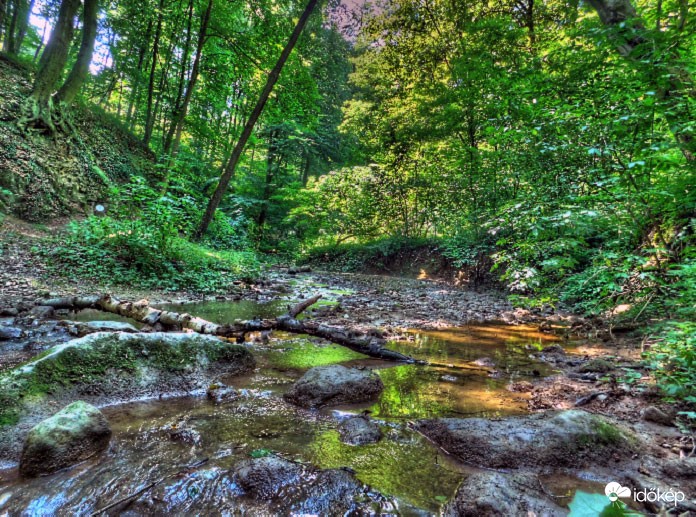 Római fürdő (Bakony)