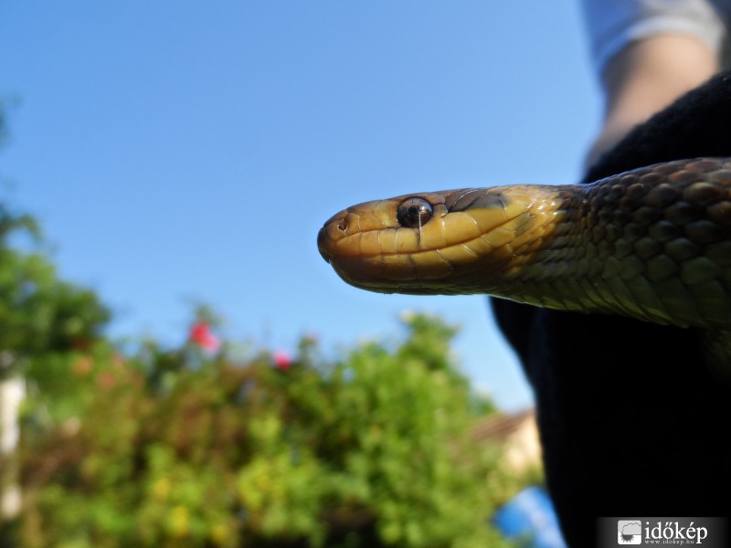 A siklók is örülnek a jó időnek