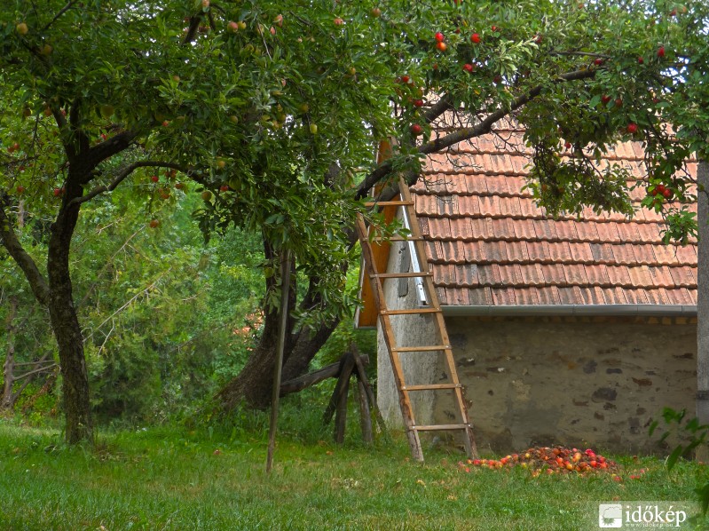 Piroslik az alma Zalában