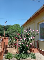 Nagyvisnyó