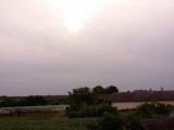 Gávavencsellő