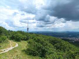 Pécs Kis-Tubesi panoráma