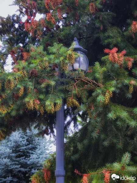 Gyömrő