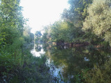 Egerlövő
