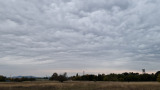 Dunakeszi