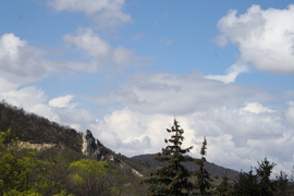 thesan fotója