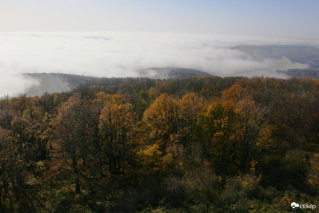 Papod-tető