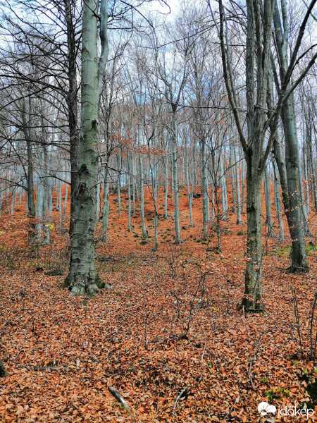 Hajdúszoboszló