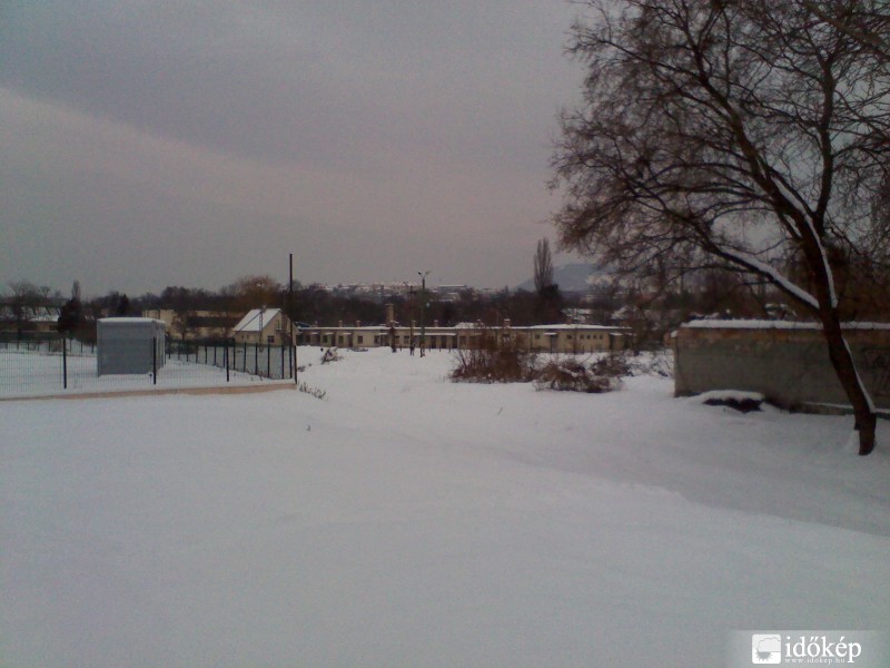 Érintetlen terület az egri vasútállomás mellett.