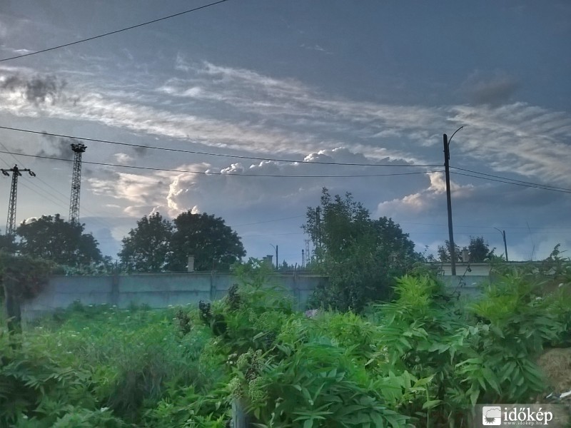 A lemenő nap fénye világítja meg a fejlődő bükki cellát