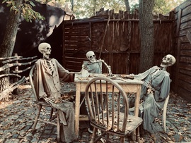 Spooky, scary skeletons…