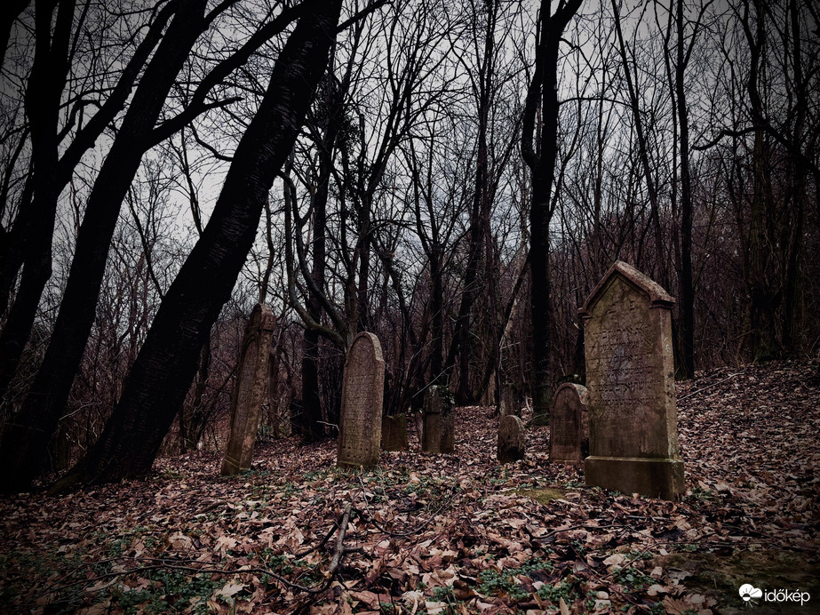 A hidden cemetery II.