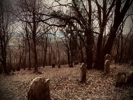 A hidden cemetery I.