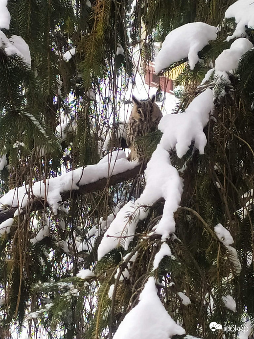 Egy kedves vendég :)