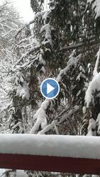 Hóval borított reggel