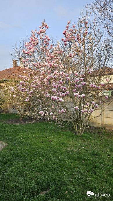 Győrújbarát