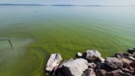 Balatonakali