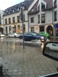 tibiole fotója