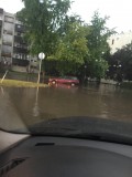tibiole fotója