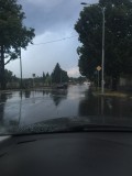 tibiole fotója