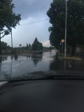 tibiole fotója