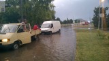 tibiole fotója
