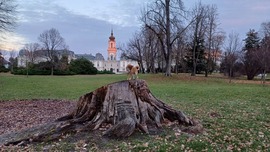 tibixke fotója