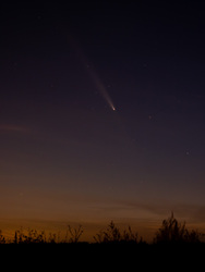 Comet C/2023 A3