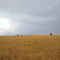 Hegykő
