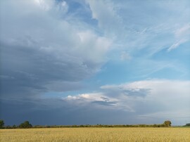 Nyíregyháza