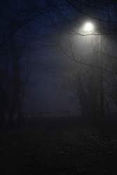 Ködös éjszaka